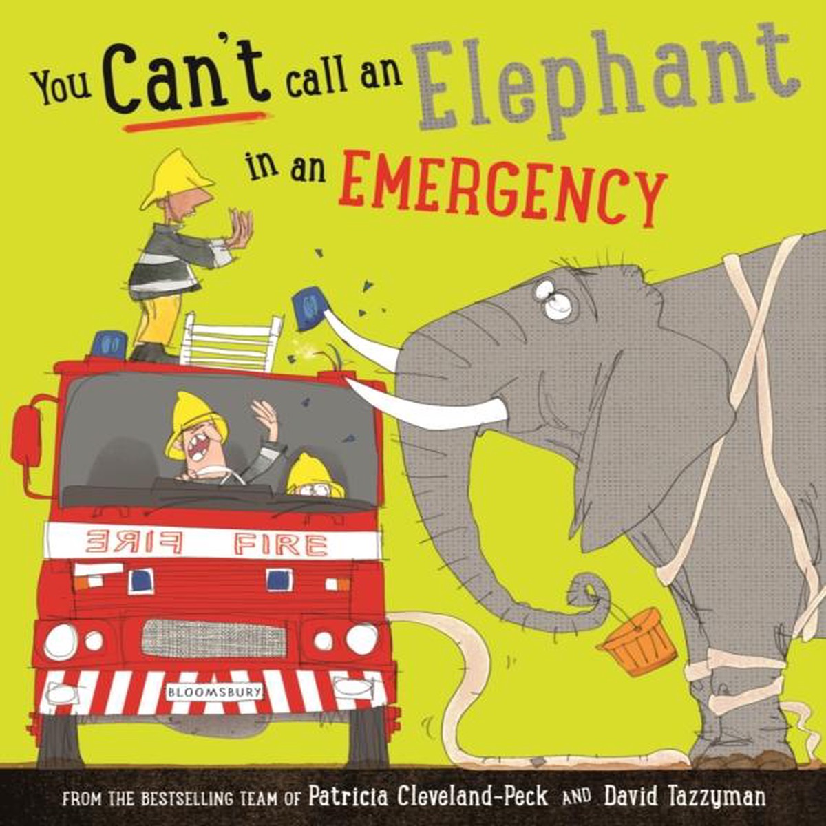 You Can’t Call an Elephant in an Emergency